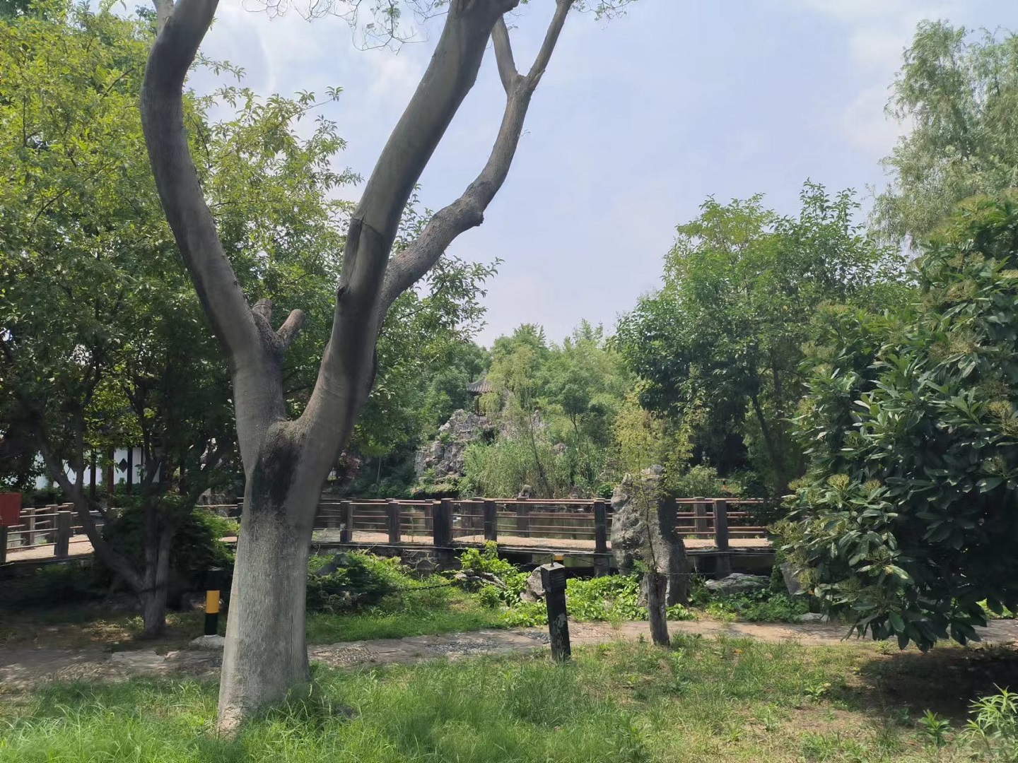 某園林資產價值評估.jpg
